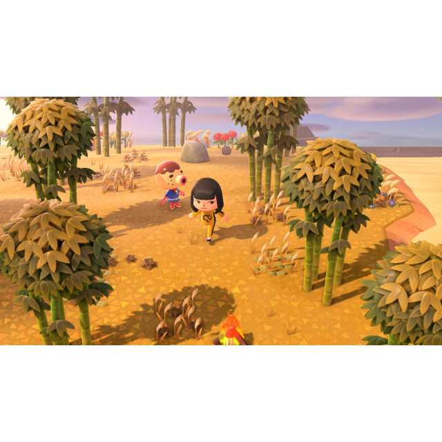 Animal Crossing: New Horizons (Switch) - Bilde 9